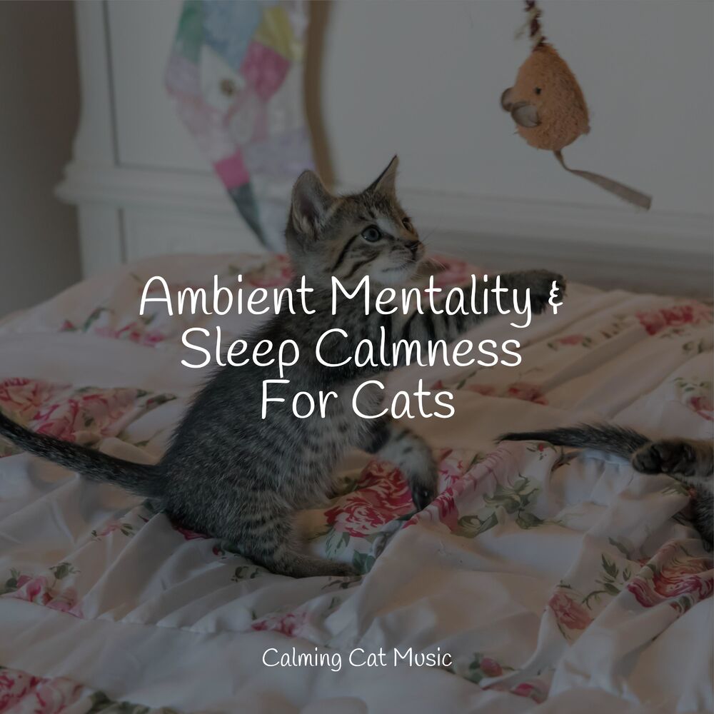Picture of Ambient Mentality & Sleep Calmness For Cats