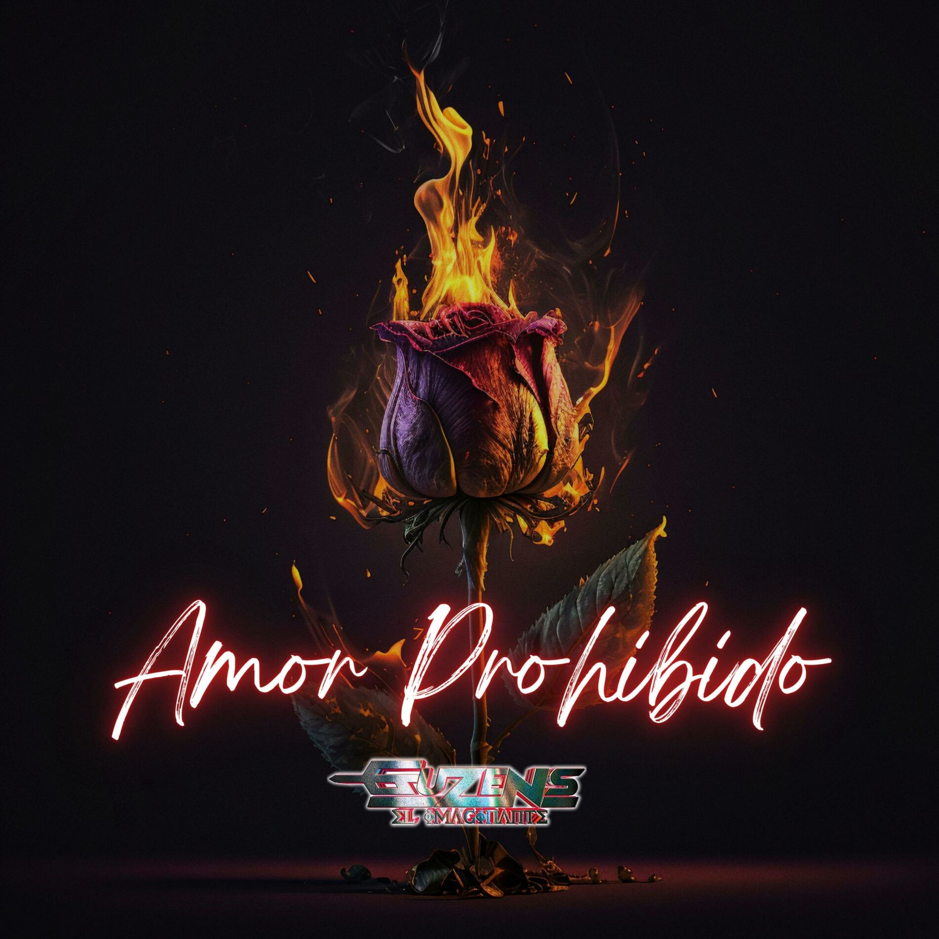 Album cover of Amor Prohibido
