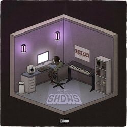 Cover of Summer In The SHDWs