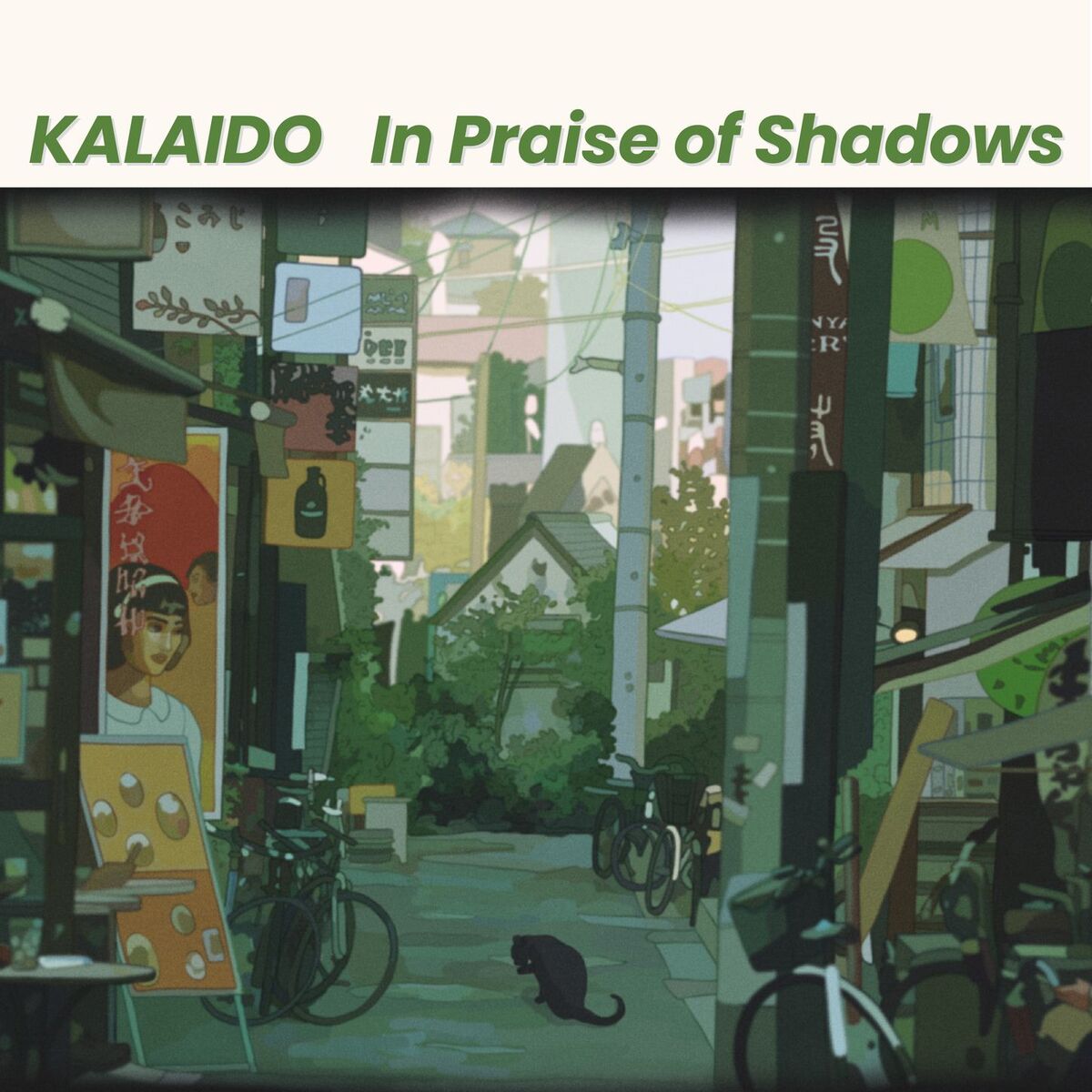 Album cover of In Praise of Shadows