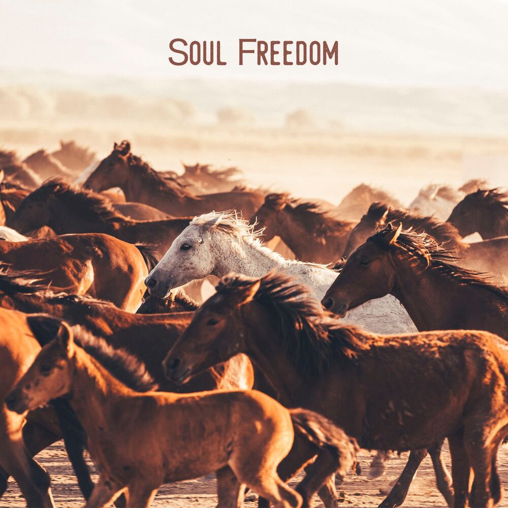 Picture of Soul Freedom