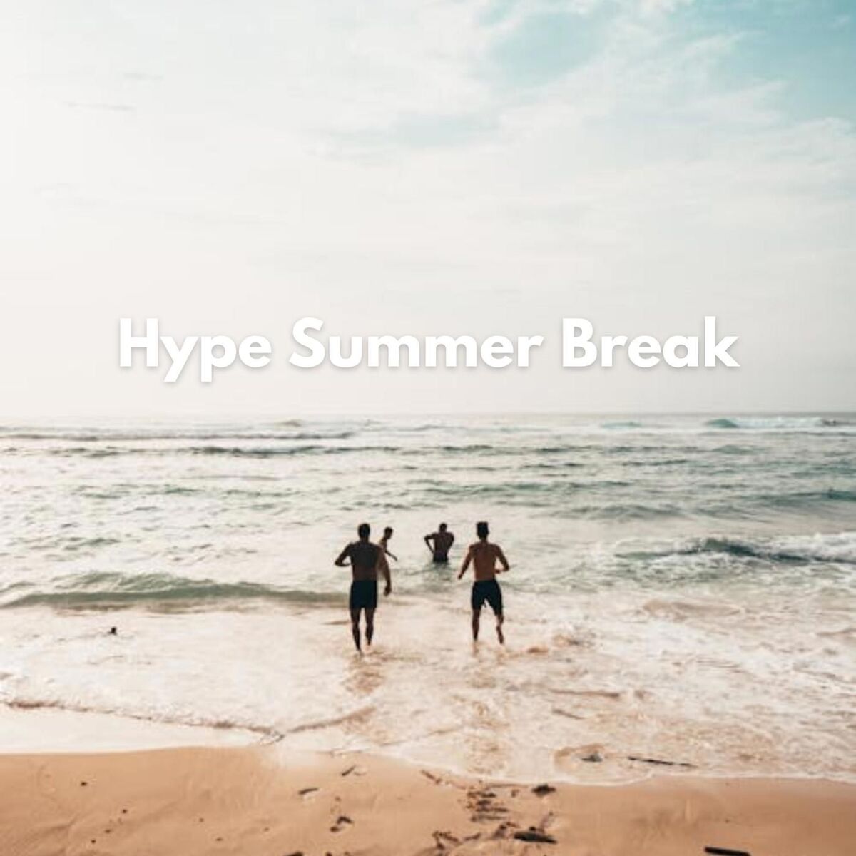 Album cover of Hype Summer Break
