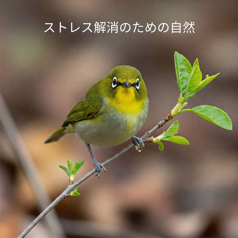 Picture of ストレス解消のための自然
