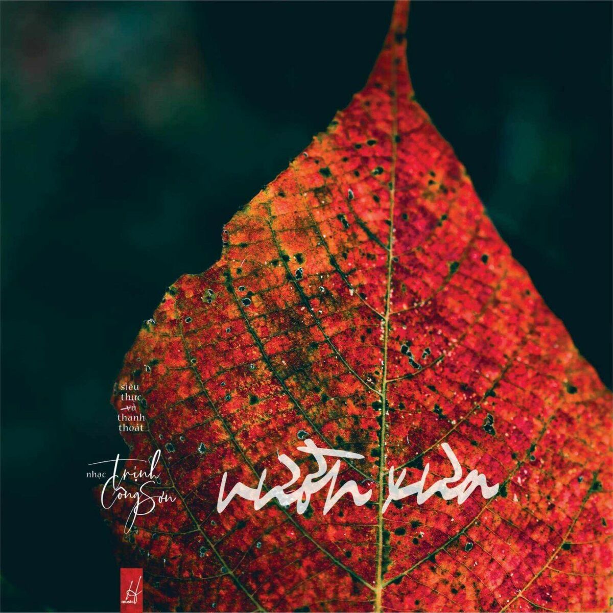 Album cover of Vườn Xưa (Re-mastering)