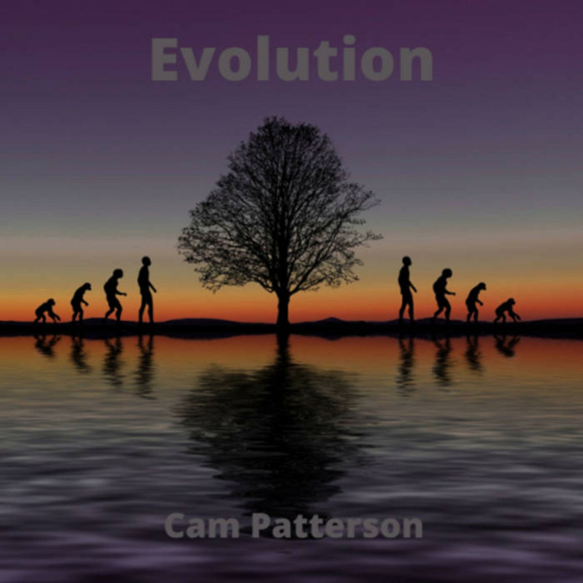 Album cover of Evolution
