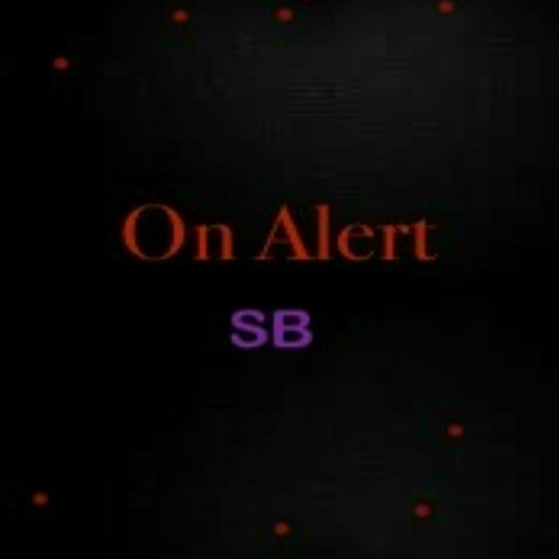 Album cover of On Alert