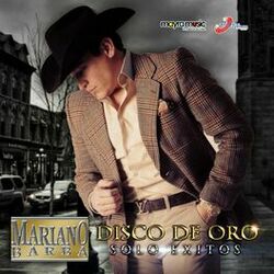 Cover of Disco De Oro, Solo Éxitos