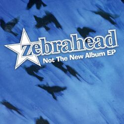 Cover of Not the New Album EP