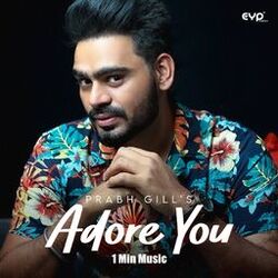 Cover of Adore You - 1 Min Music