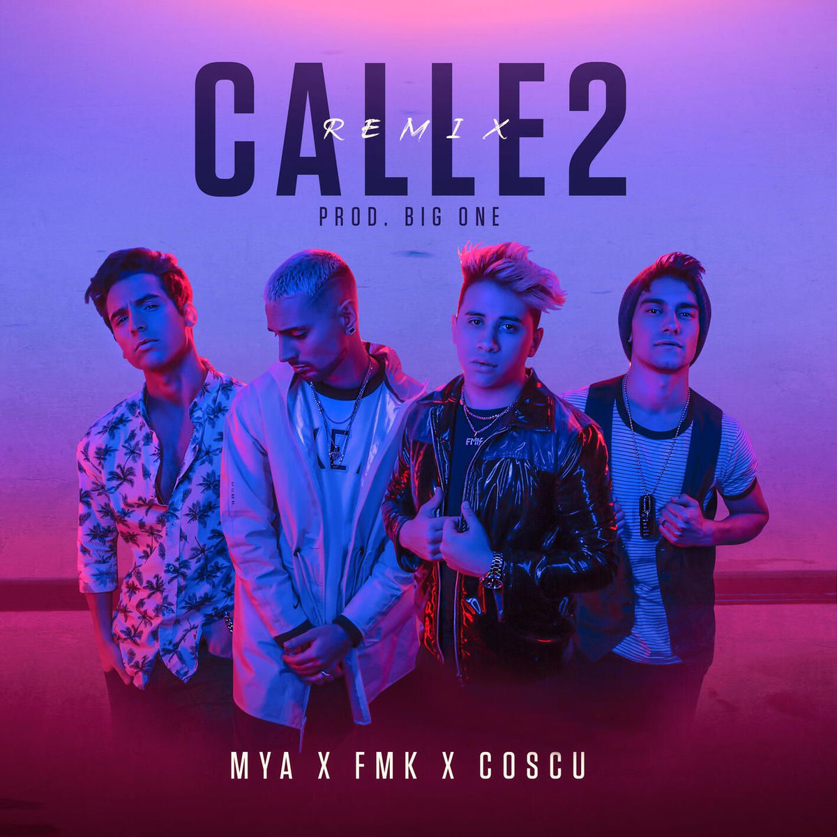Album cover of Calle 2