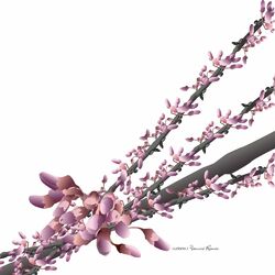 Cover of Yamoré Remix
