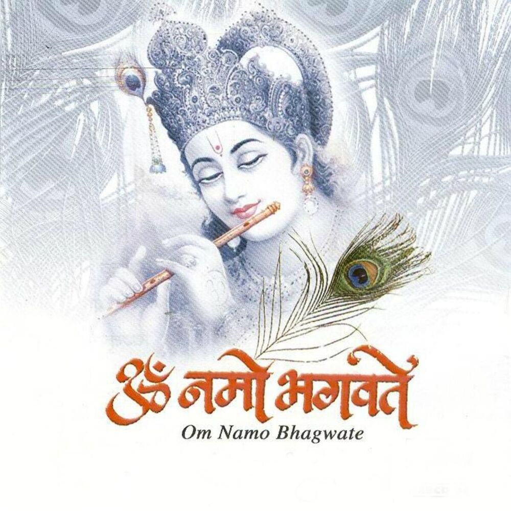 Picture of Om Namo Bhagwate