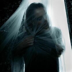 Cover of Waiting