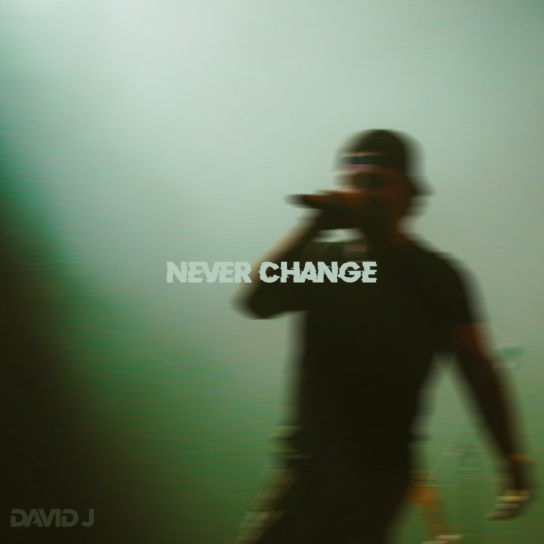 Album cover of Never Change