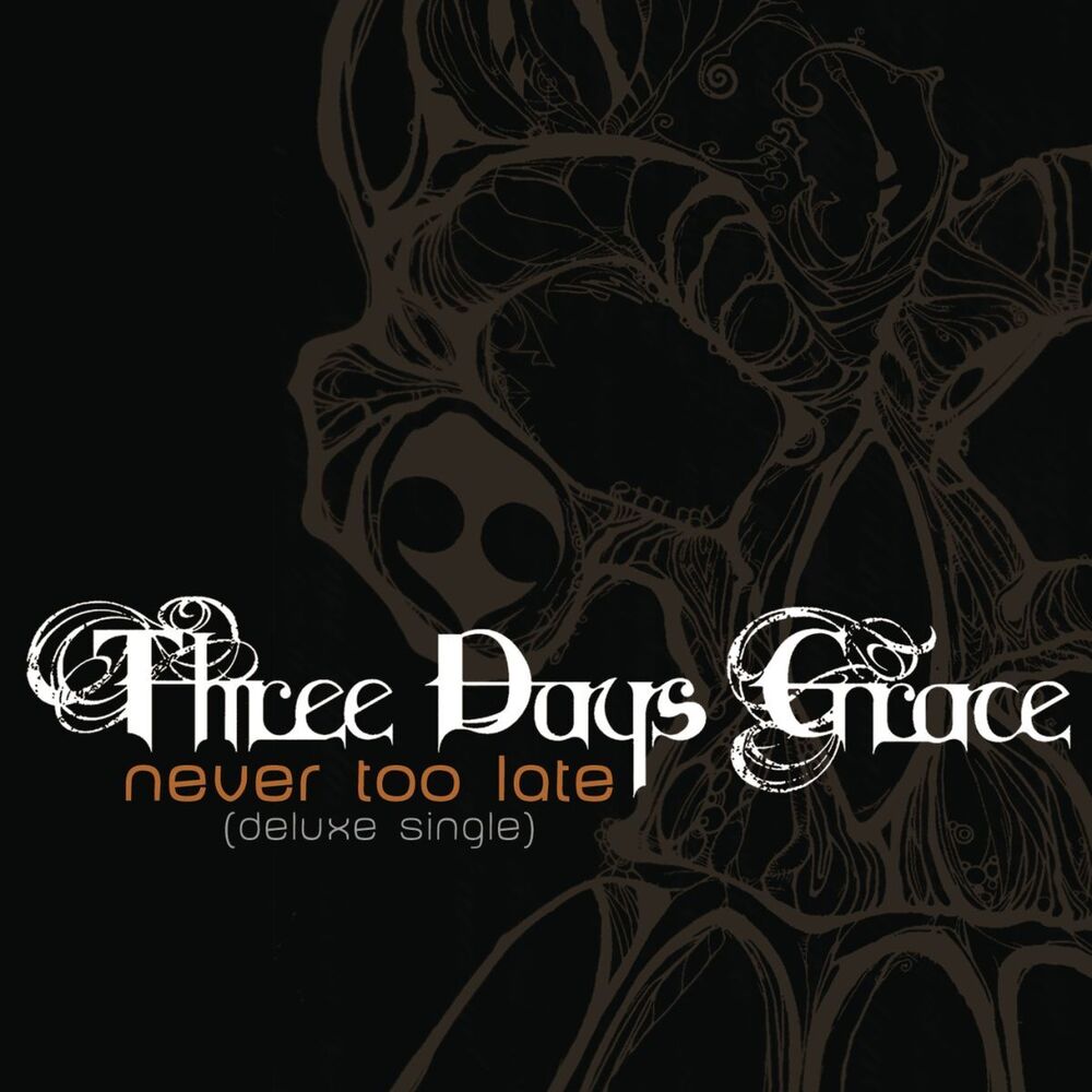 Picture of Never Too Late