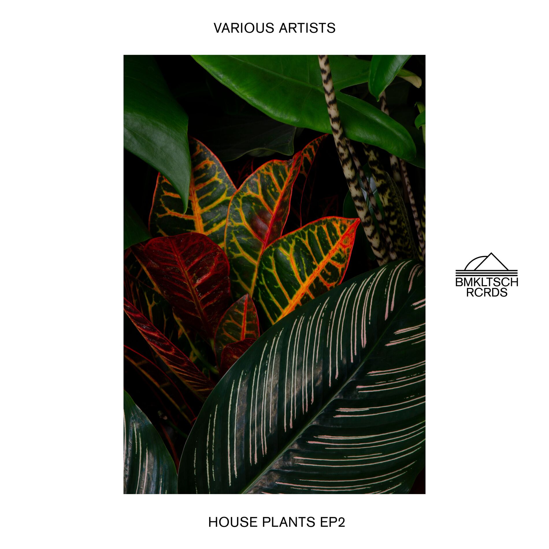 Album cover of House Plants 2 - EP