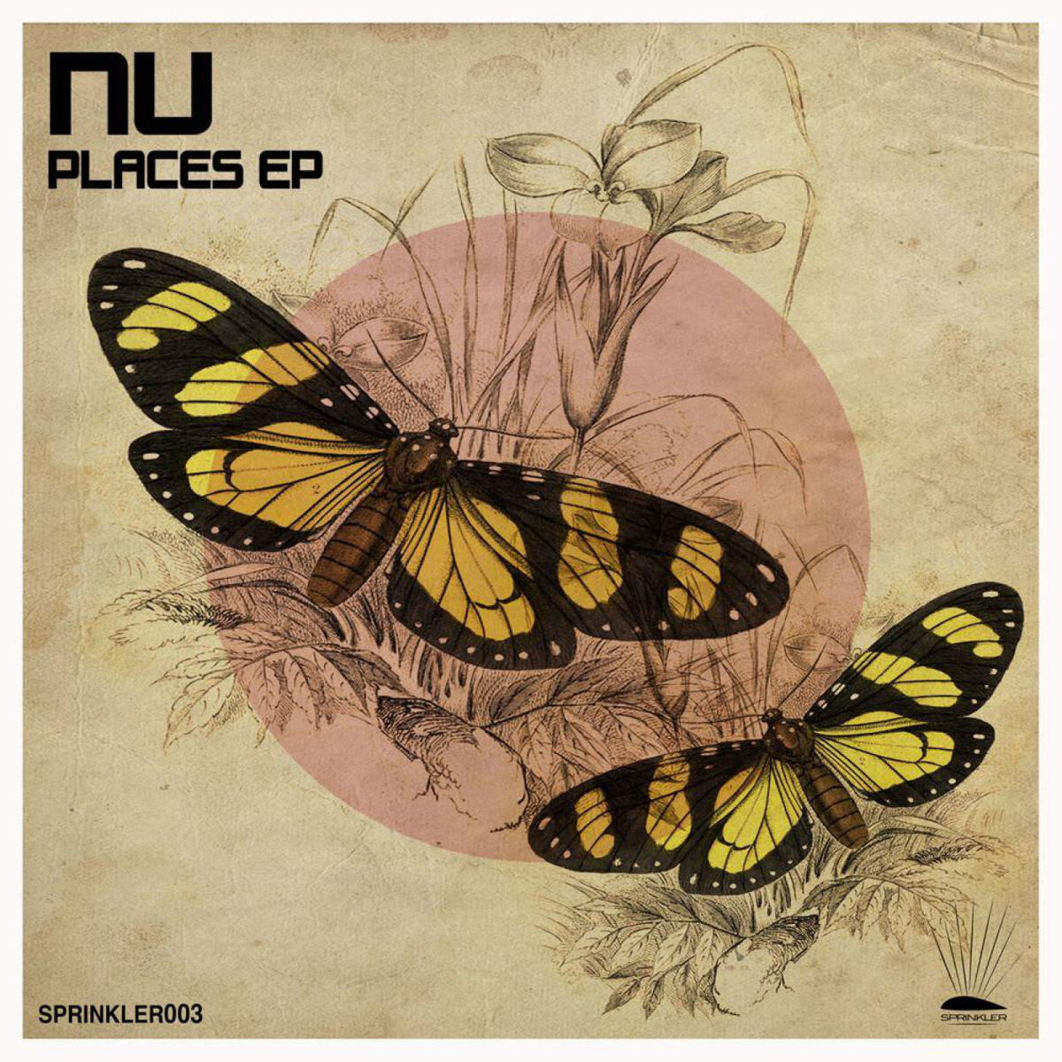 Album cover of Amor