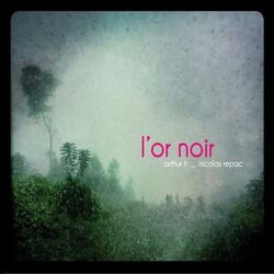 Cover of L'or noir