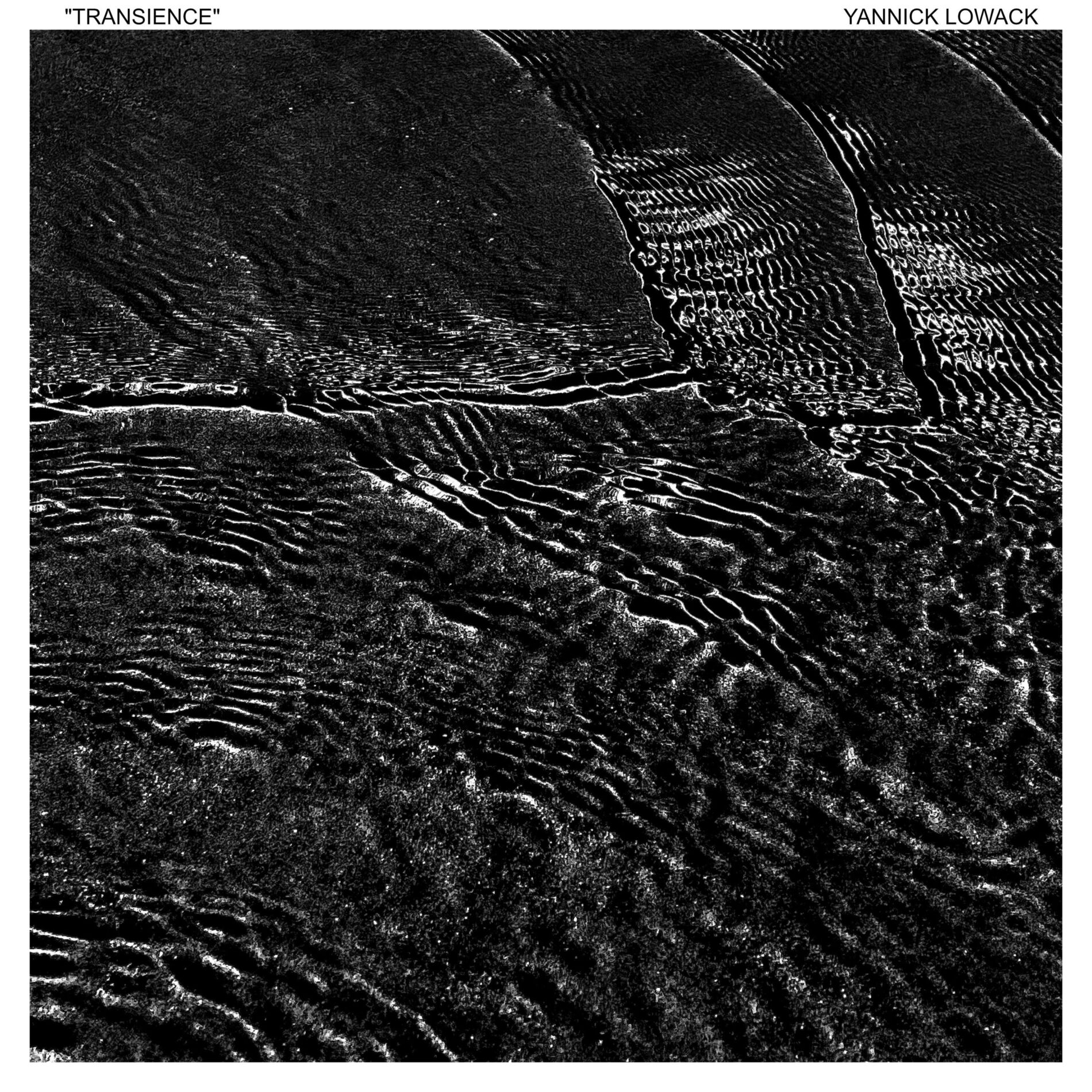 Album cover of Transience