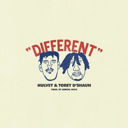 Cover of Different
