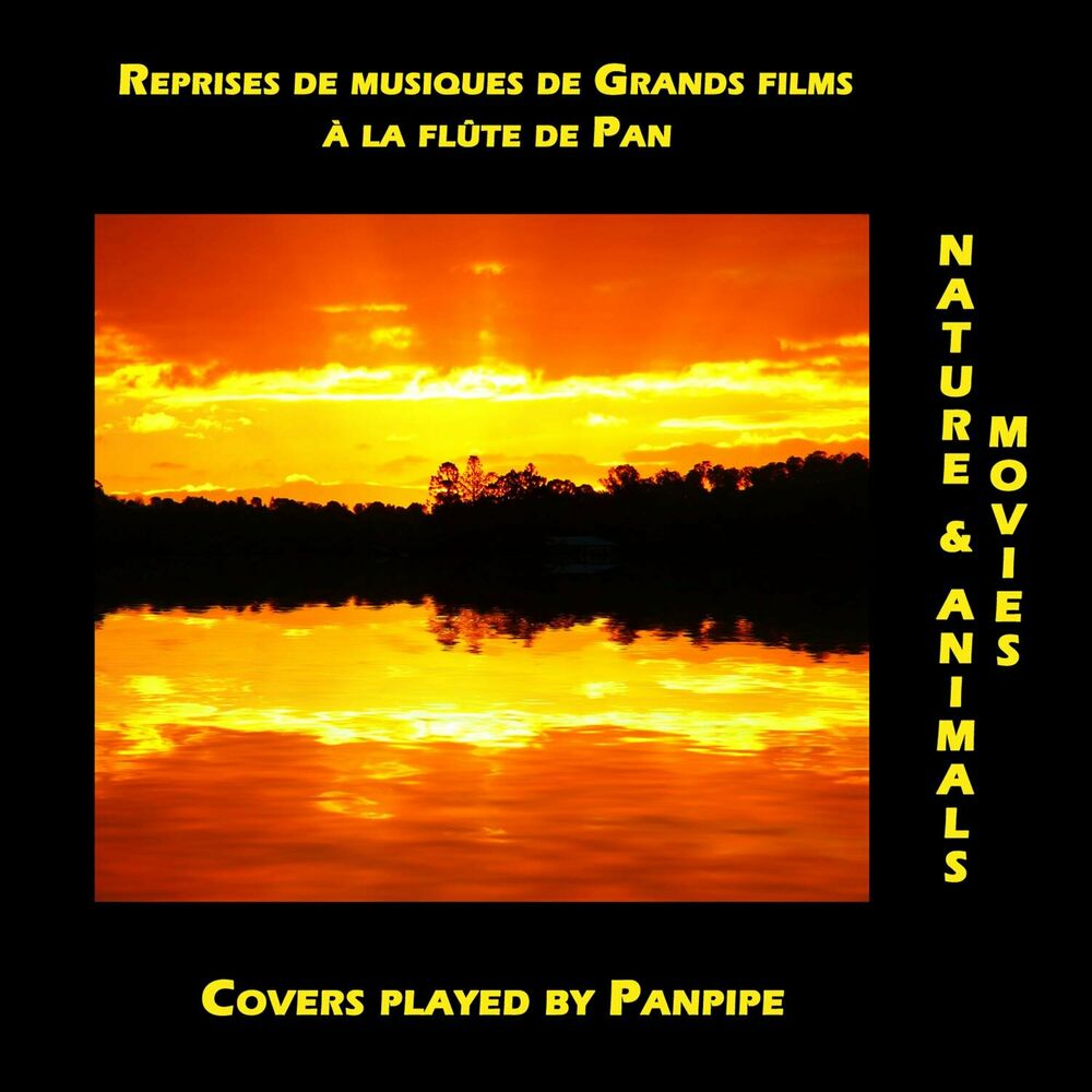 Picture of Nature Movies, Reprises de musiques de Grands films à la flûte de Pan (Covers played by Panpipe)