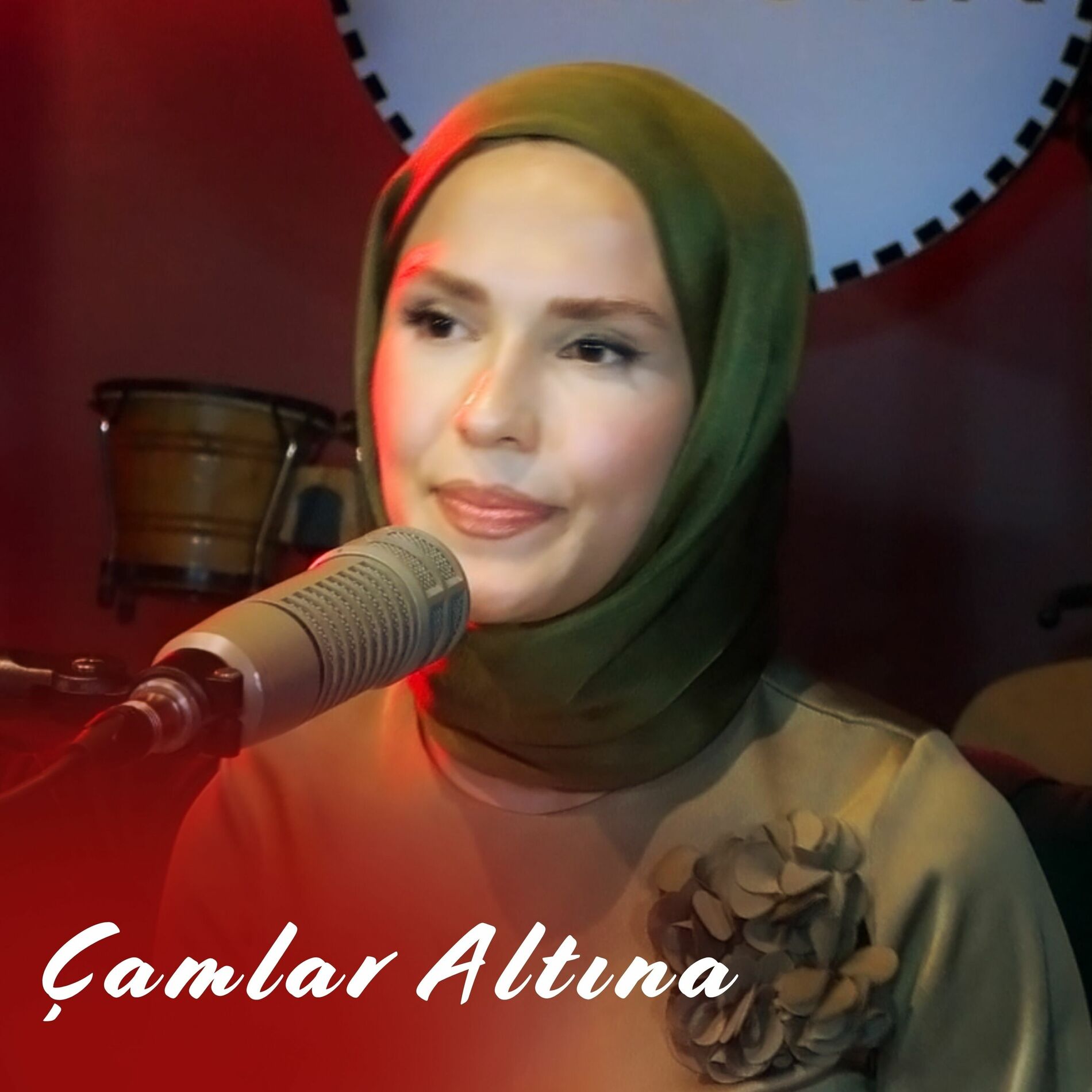 Album cover of Çamlar Altına