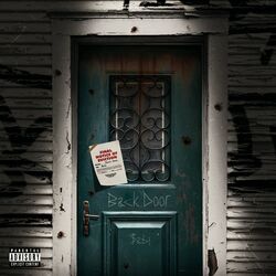 Cover of Backdoor