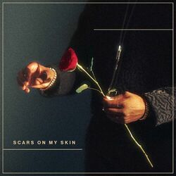 Cover of Scars On My Skin