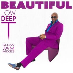 Cover of Beautiful Slow Jam Mixes