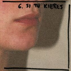Cover of ⟡ si tu kieres ⟡