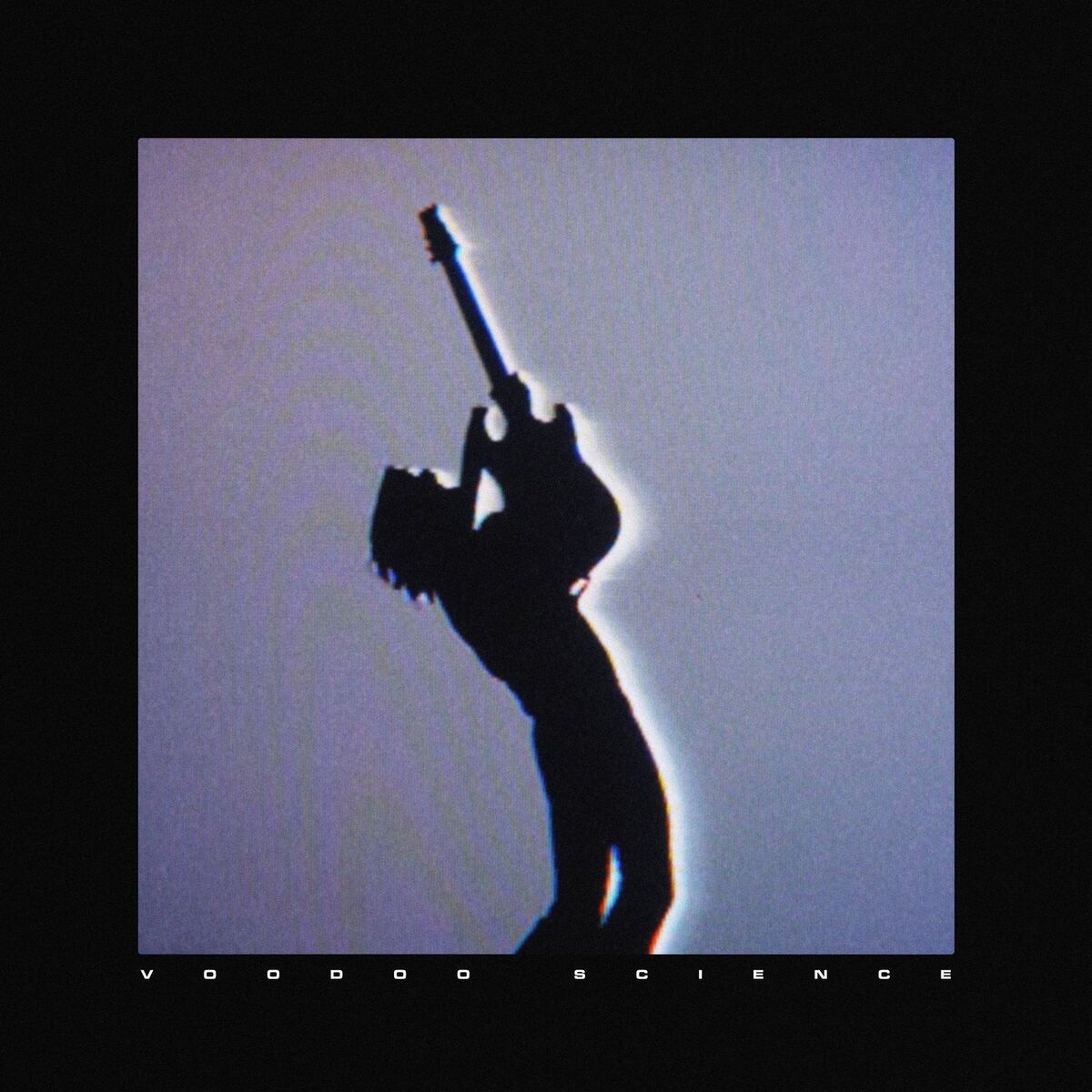 Album cover of Voodoo Science