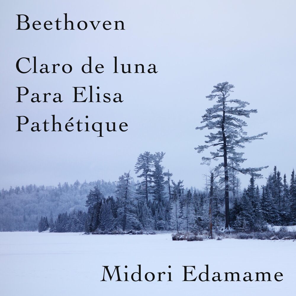 Picture of Beethoven: Claro De Luna / Para Elisa / Pathétique