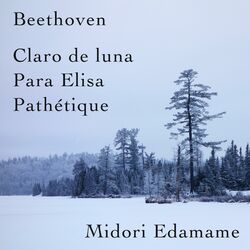 Cover of Beethoven: Claro De Luna / Para Elisa / Pathétique