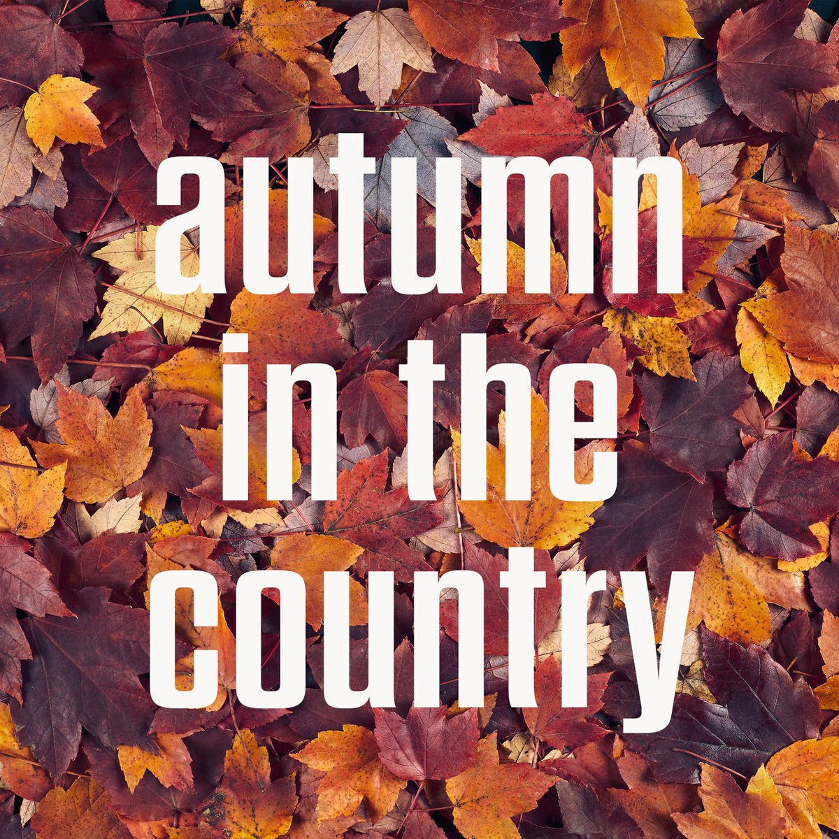 Album cover of autumn in the country