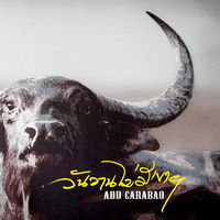 Add Carabao: albums, songs, concerts | Deezer