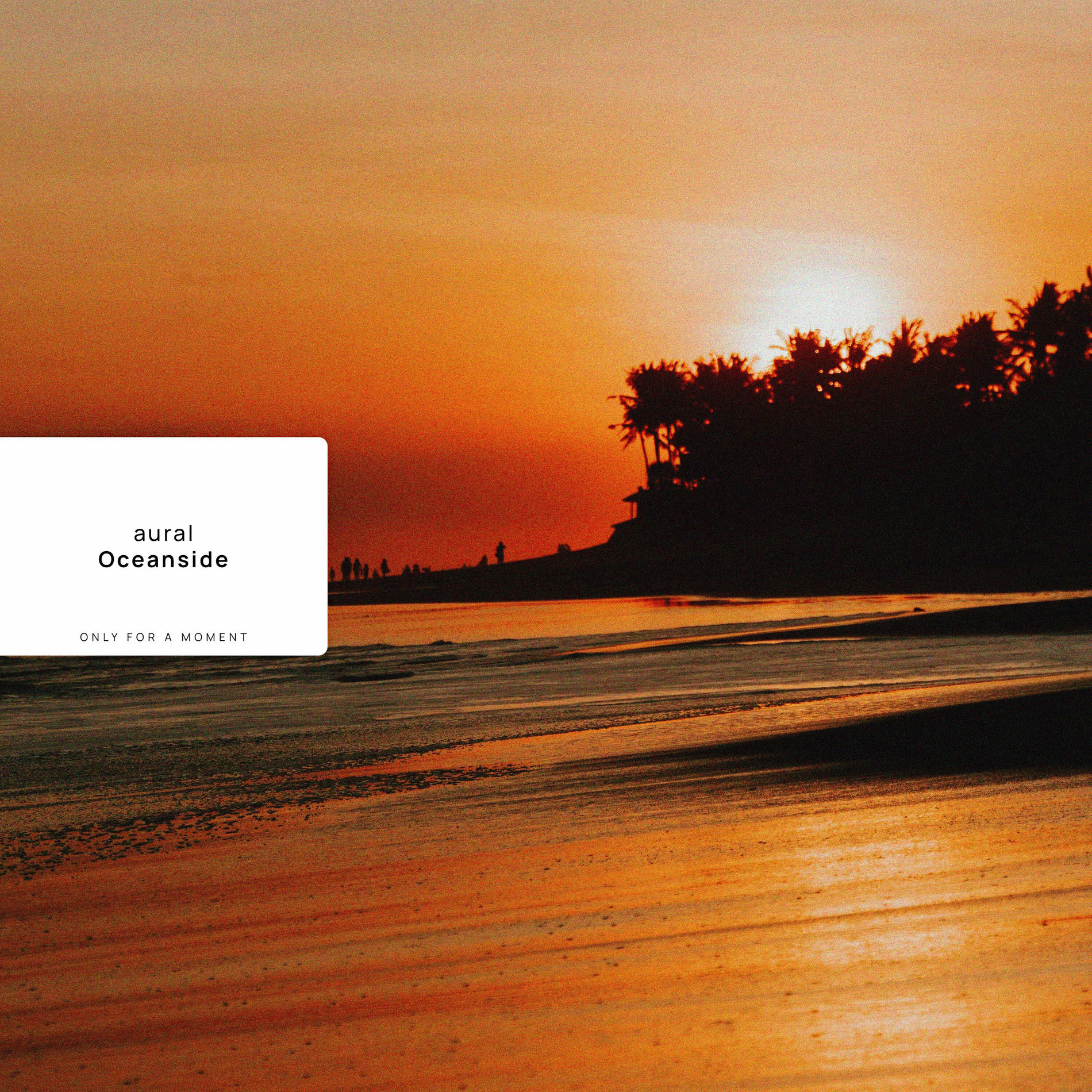 Album cover of Oceanside