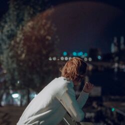 Cover of Midnight7