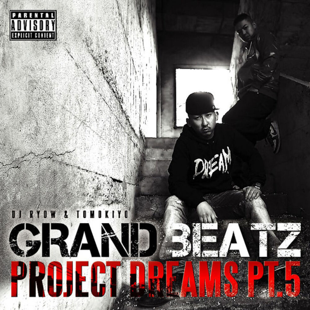 Picture of Project Dreams Pt.5