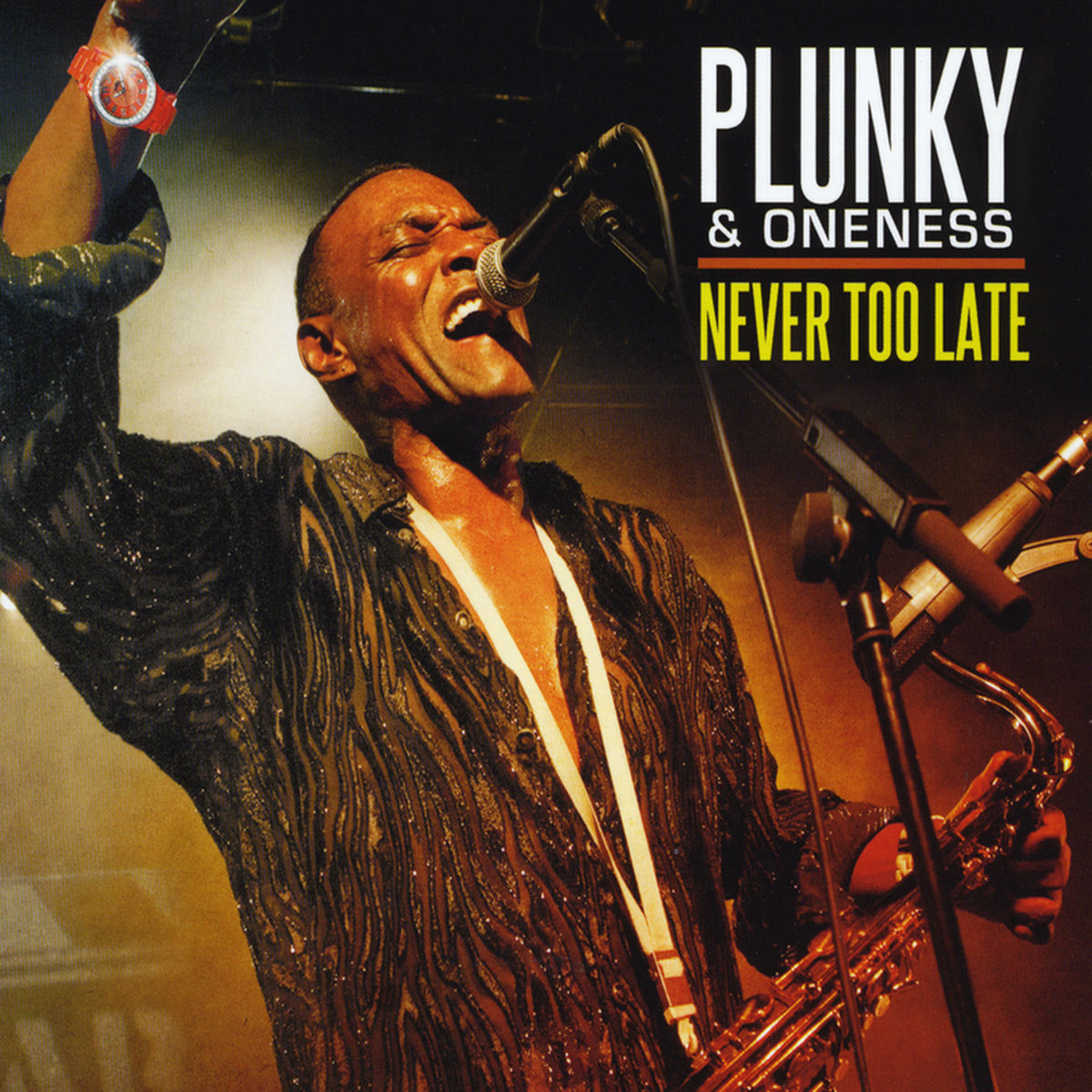 Album cover of Never Too Late