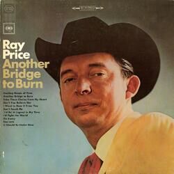 Cover of Another Bridge to Burn