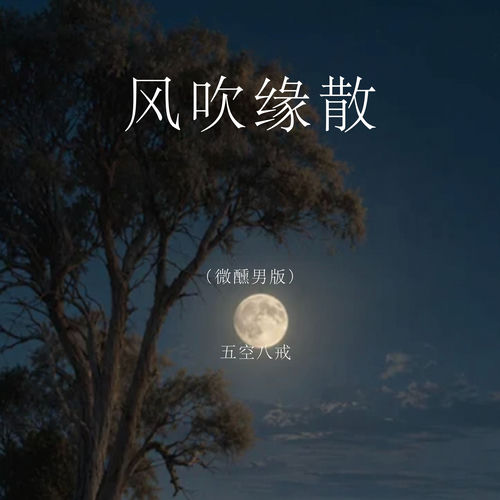 风吹缘散 (微醺男版)