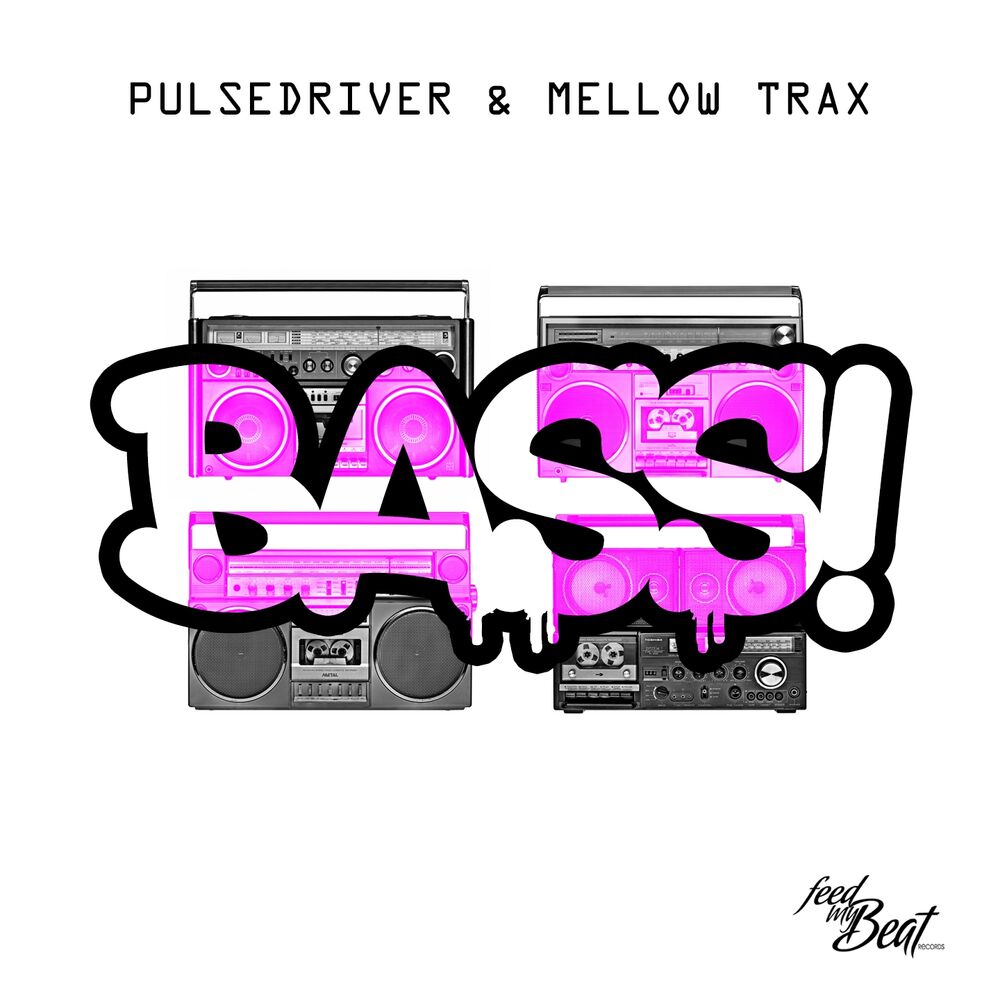 Picture of Bass!
