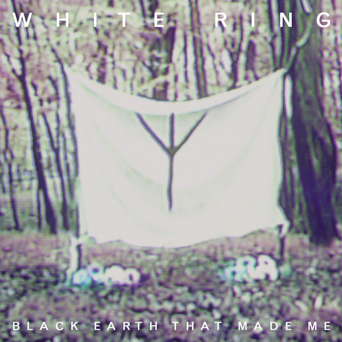Album cover of Black Earth That Made Me