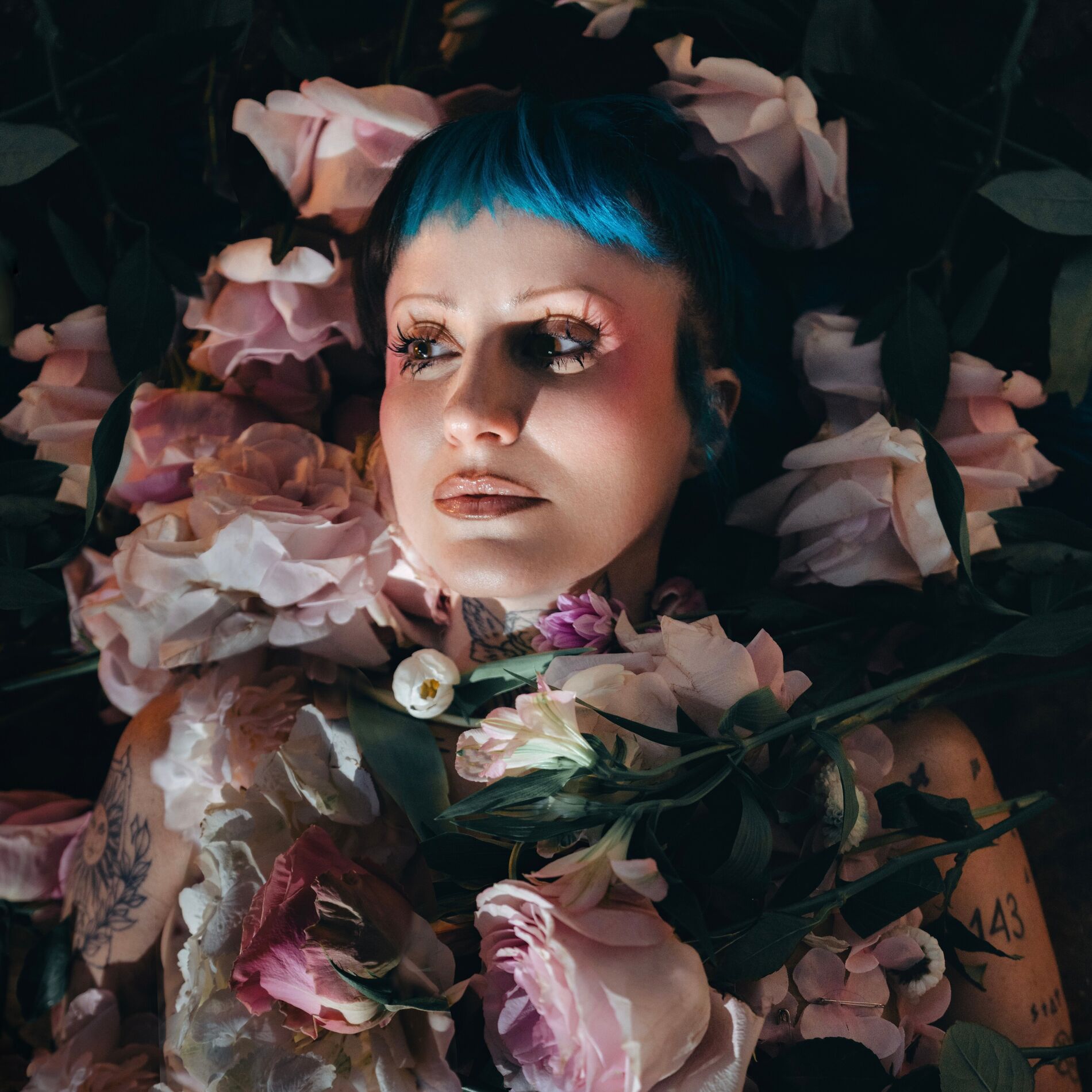 Album cover of BLOSSOM