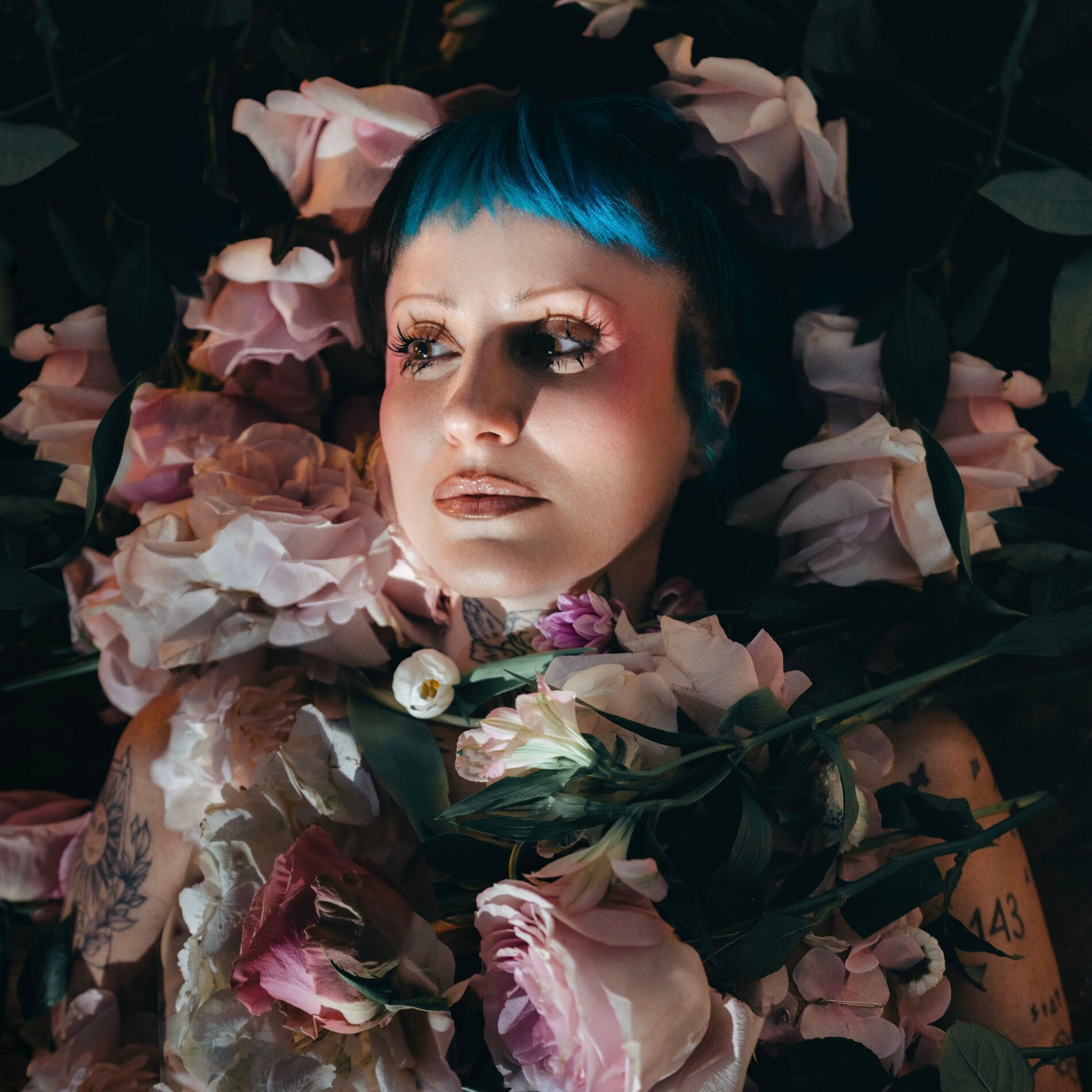 Album cover of BLOSSOM