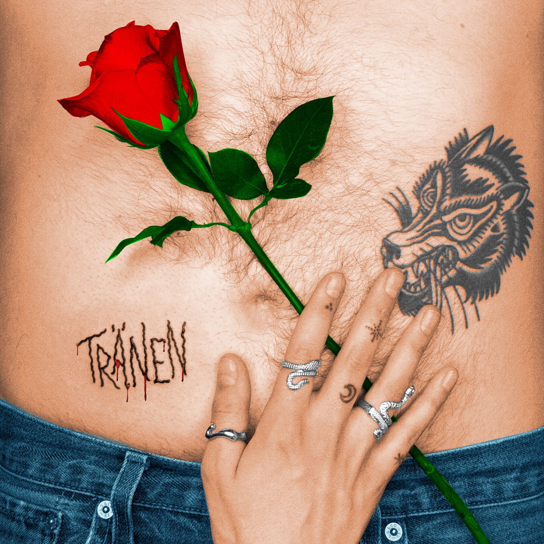 Album cover of Komm und küss mich