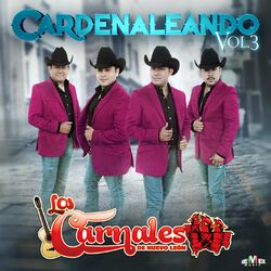 Cover of Cardenaleando Vol. 3
