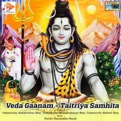 Cover of Veda Gaanam - Taitriya Samhita