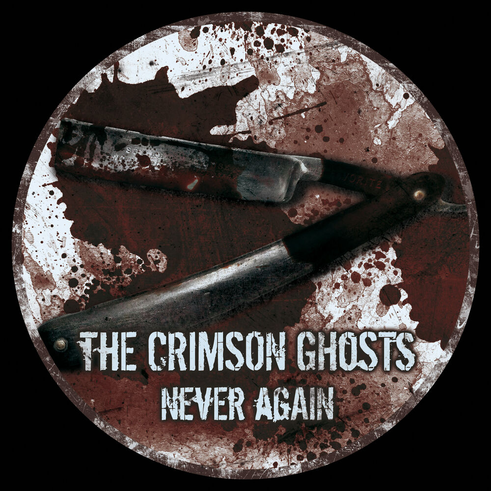 Picture of Never Again