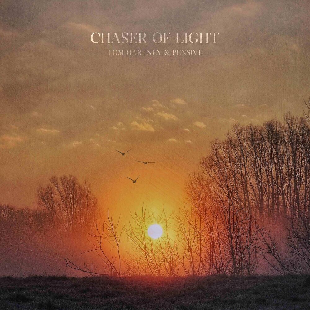 Picture of Chaser of Light